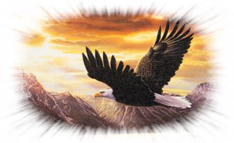 Adler